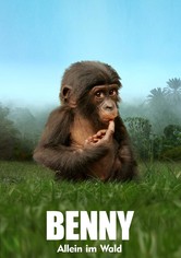 Benny: Allein im Wald