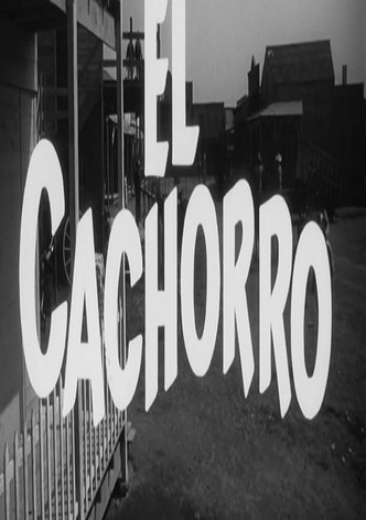 El cachorro