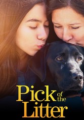 Pick of the Litter