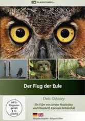Der Flug der Eule