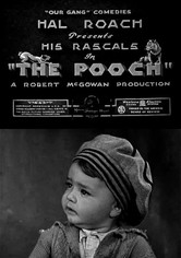 The Pooch