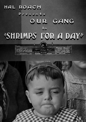 Shrimps for a Day