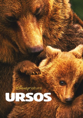 Ursos
