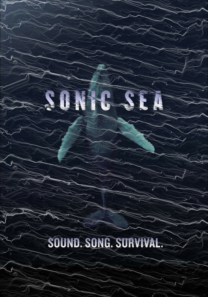 Sonic Sea