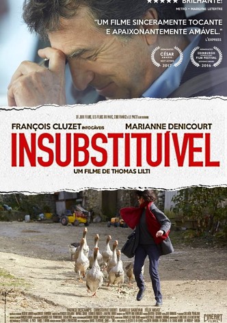 Médico de Província