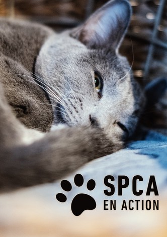 SPCA en action