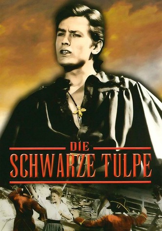 Die schwarze Tulpe