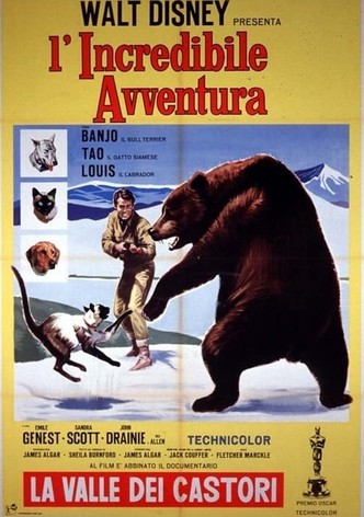 L'incredibile avventura