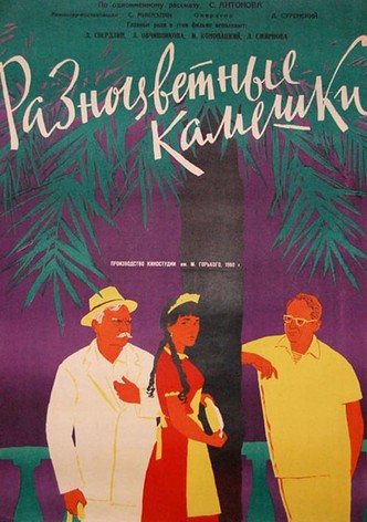 Разноцветные камешки