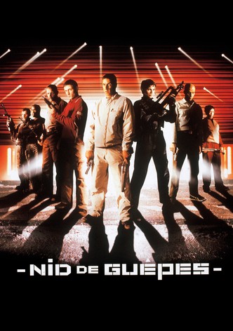 Nid de guêpes