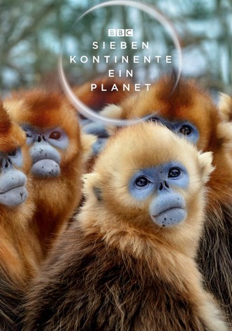 Sieben Kontinente - Ein Planet