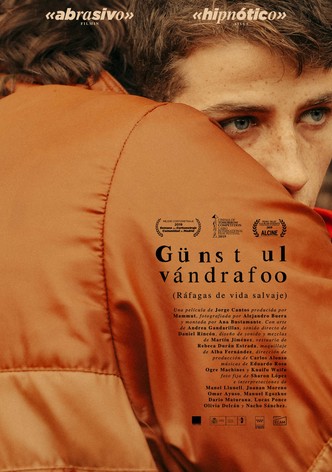 Ráfagas de vida salvaje