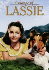 Courage of Lassie