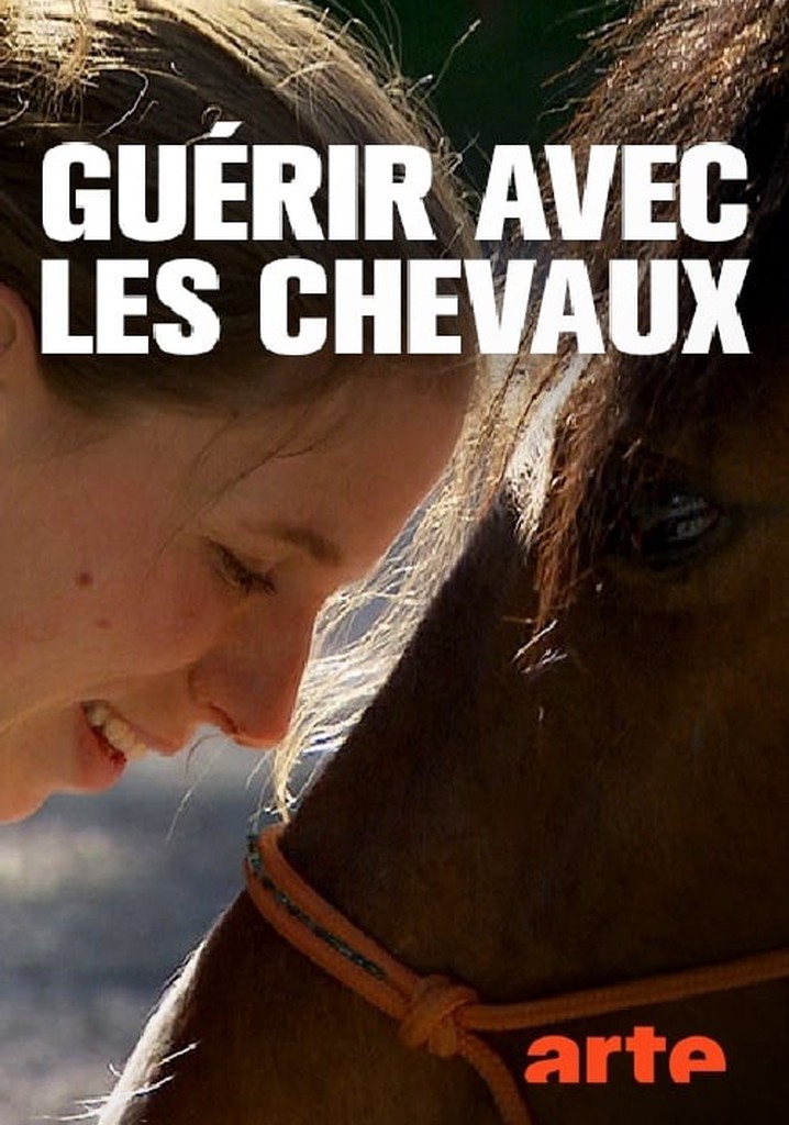 Die heilende Sprache der Pferde