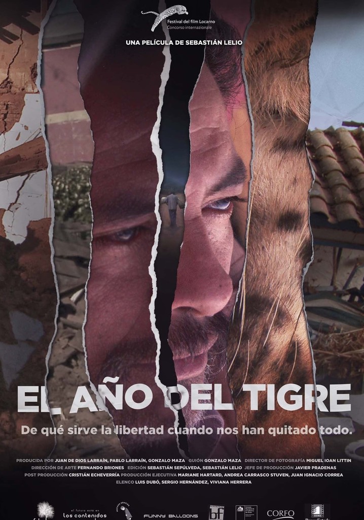 El Año Del Tigre Película Ver Online En Español 0556