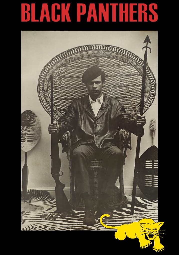 Black Panthers streaming: where to watch online?