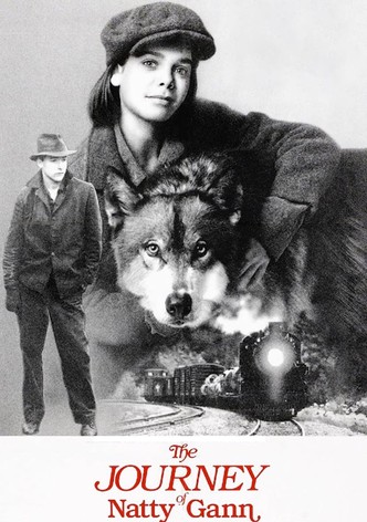 Putovanje Natty Gann