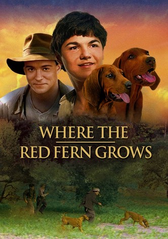 Where the Red Fern Grows