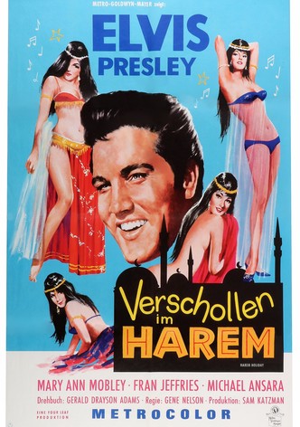 Verschollen im Harem