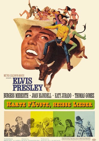 Harte Fäuste, heiße Lieder