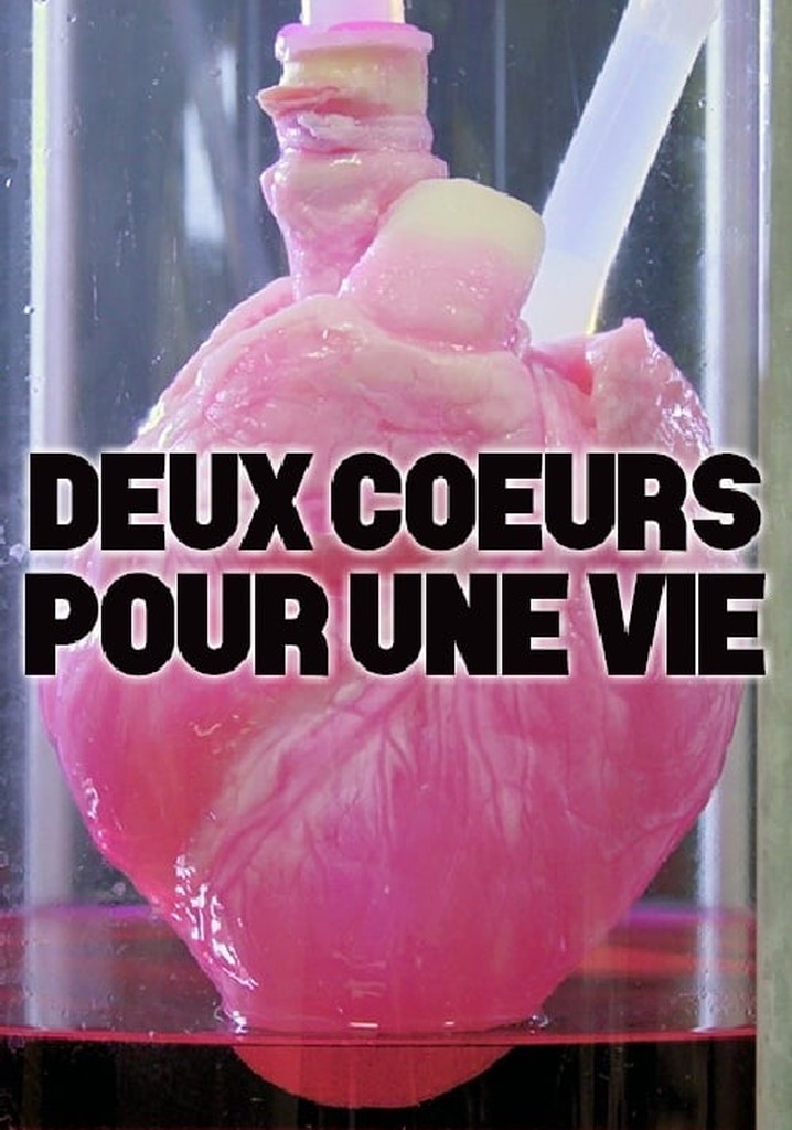 Herz aus dem Labor? Neue Chancen für ein zweites Leben