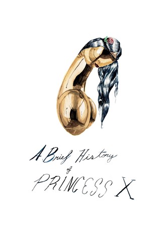 A Brief History of Princess X