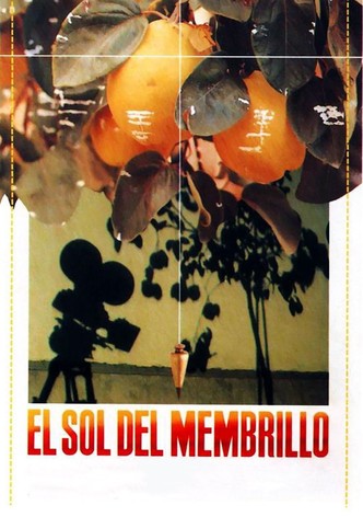 El sol del membrillo