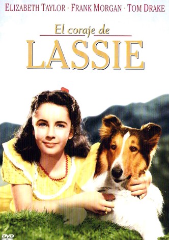 El coraje de Lassie