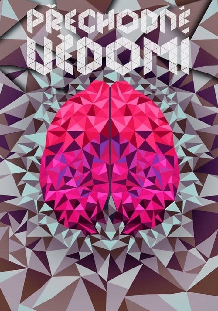 Transient Consciousness