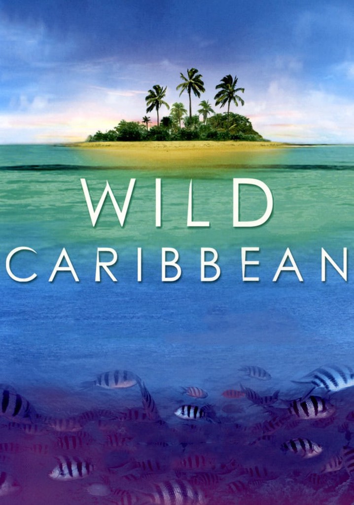Wild Caribbean