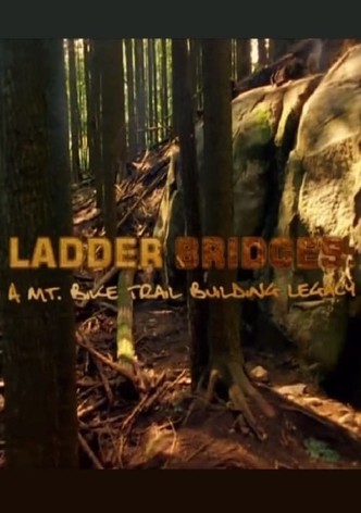 Ladder Bridges