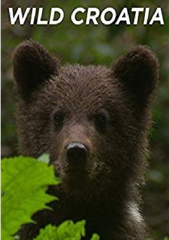 Wild Croatia