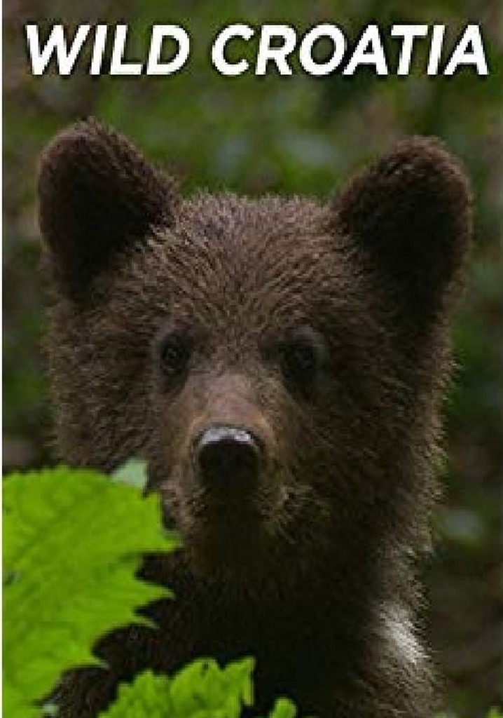 Wild Croatia