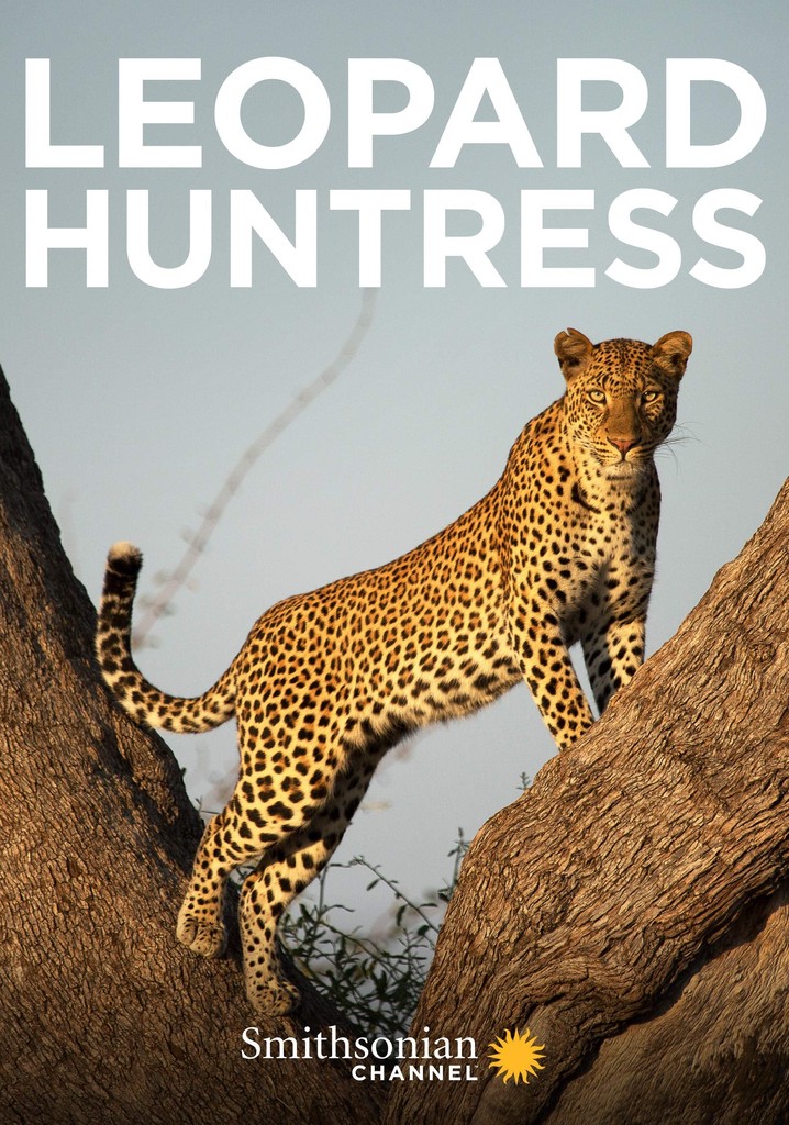 Leopard Huntress
