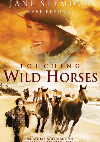 Touching Wild Horses