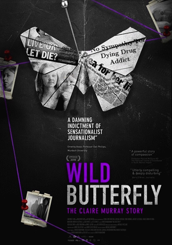 Wild Butterfly