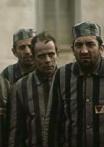 Manifesto for Freedom