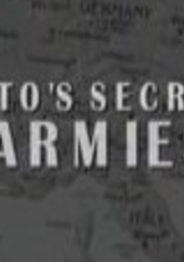 NATO's Secret Armies