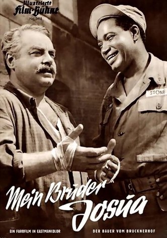 Der Bauer vom Brucknerhof