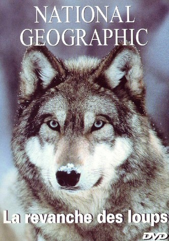 In the Valley of the Wolves