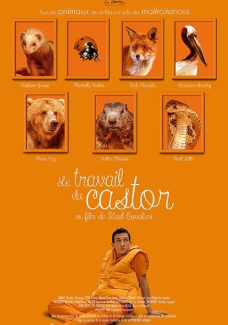 Le Travail du castor