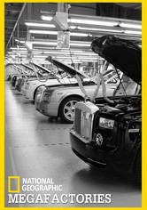 Megafactorías