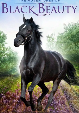 Black Beauty