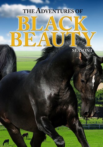 The Adventures of Black Beauty - streaming online