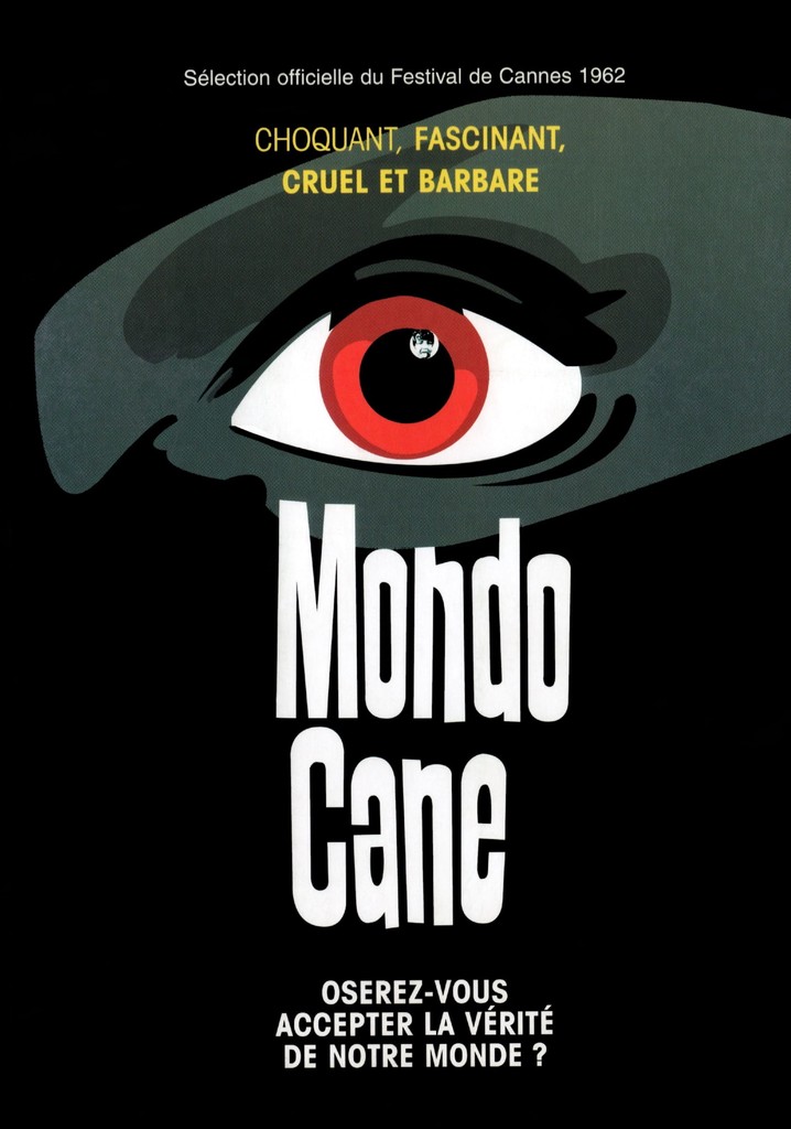 FACE À LA MORT + Mondo Cane Cette-chienne-de-vie