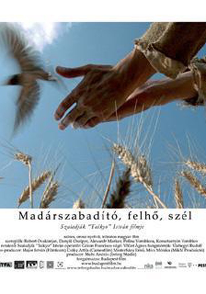 Bird Saviour, Clouds and Wind