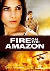 Fire on the Amazon