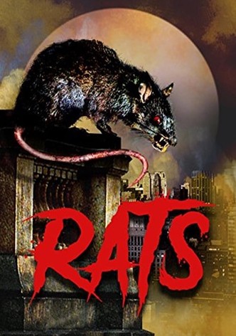 Rats