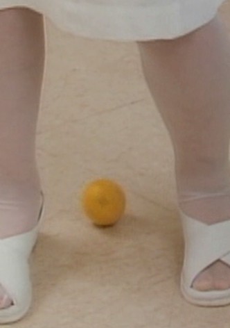 Midarana kajitsu: Mogitate hakui