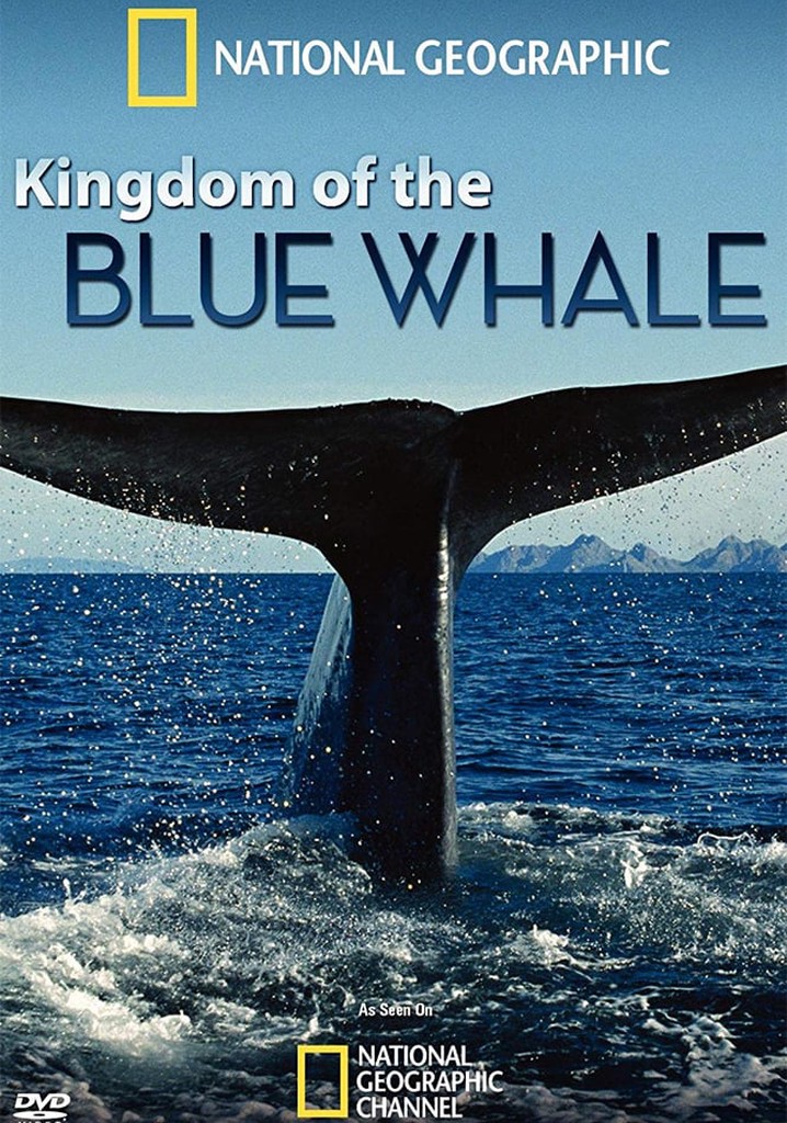 Kingdom of the Blue Whale